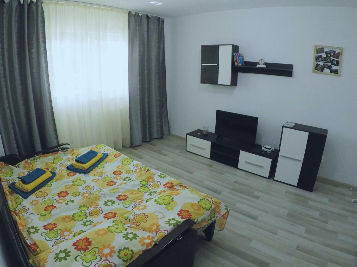Ama Apartment Mountain View & Parking Braşov Dış mekan fotoğraf