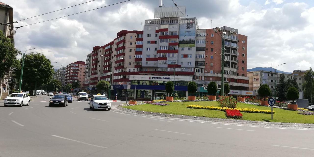 Ama Apartment Mountain View & Parking Braşov Dış mekan fotoğraf