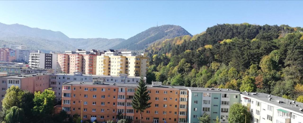 Ama Apartment Mountain View & Parking Braşov Dış mekan fotoğraf